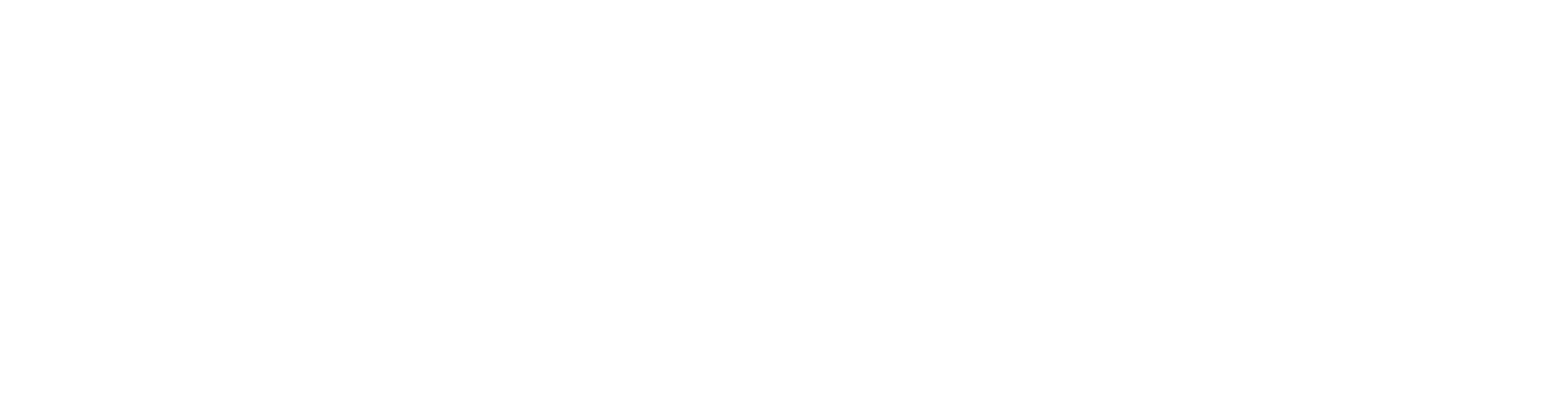 Paradise Scooter Logo